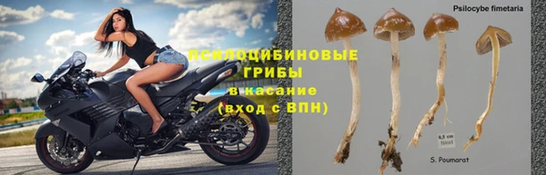 каннабис Козловка