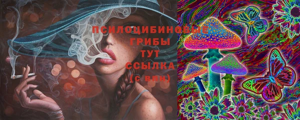 прущие грибы Киреевск