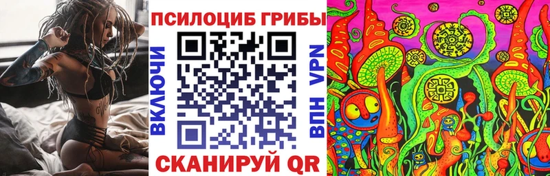 Псилоцибиновые грибы GOLDEN TEACHER  Купить где  Гудермес 